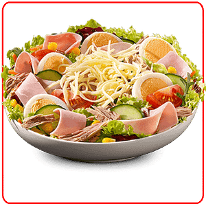 products 91. capri salat