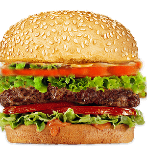 products 36 . hamburger